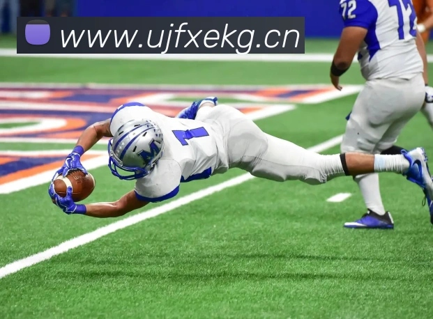 kaiyun网页版官网平台生态图